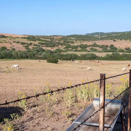 Country house Cortijo La Mina By Lajuderia De Vejer - Luxury *