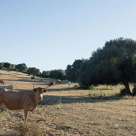 Cortijo La Mina By Lajuderia De Vejer - Luxury Country house Conil De La Frontera